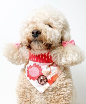 Waratah Scarf