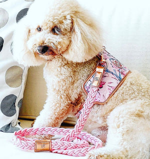 Lady Dog Harness