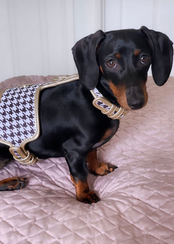 Houndstooth Dog Harness