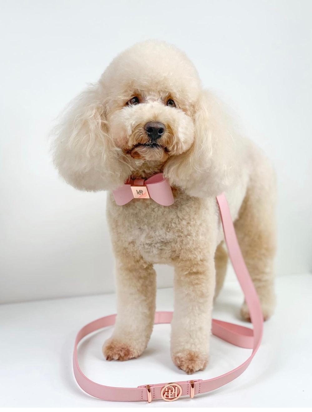 Peony Leather Dog Lead