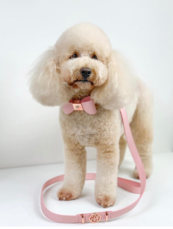 Peony Leather Dog Lead