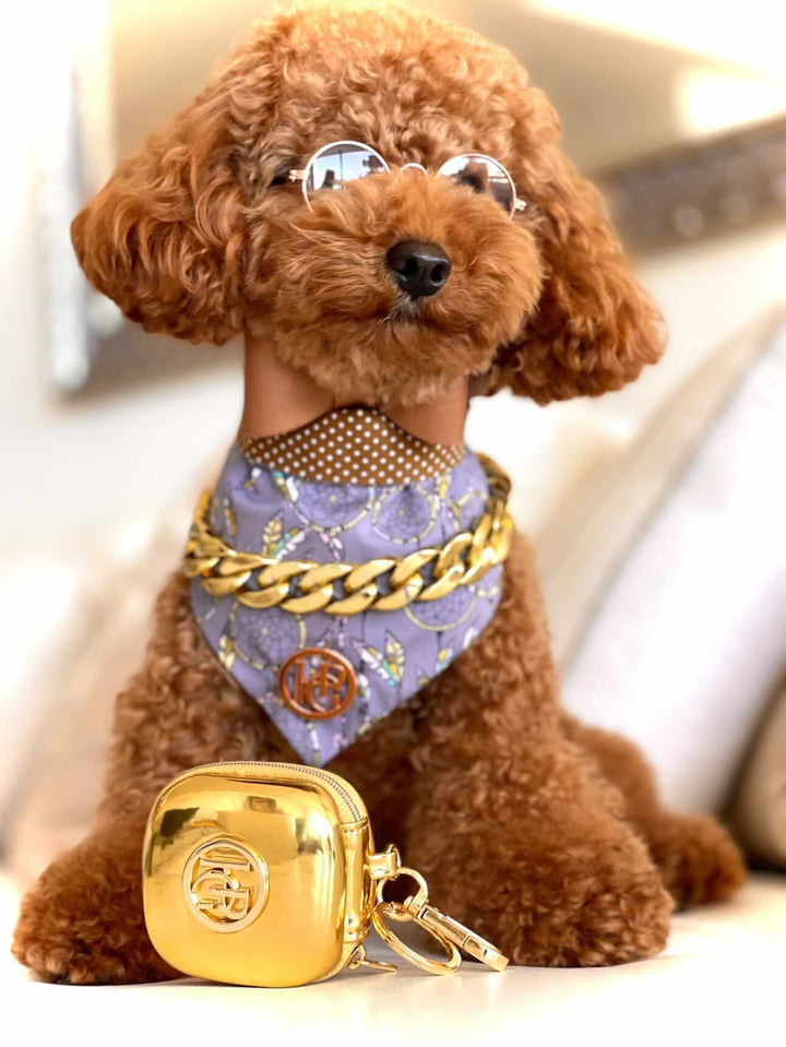 dog treat fanny pack