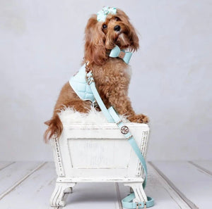 Aquamarine Leather Bow Dog Collar