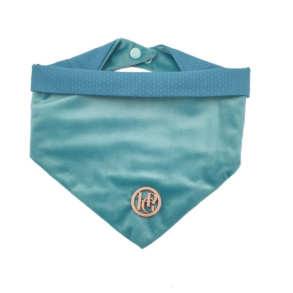 Mr ‘Bluey’ Scarf