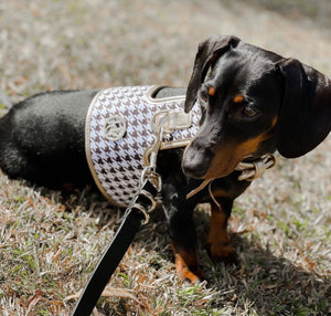 Houndstooth Dog Harness
